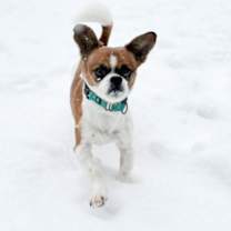 Thumbnail photo of Tic Tac #3