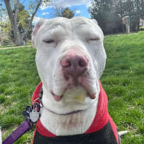 Thumbnail photo of Rick #2