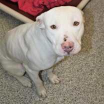 Thumbnail photo of Rick #3