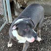 Thumbnail photo of Ricky #4