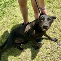 Thumbnail photo of Connie #2