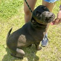 Thumbnail photo of Connie #3