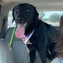 Thumbnail photo of Sheldon #2