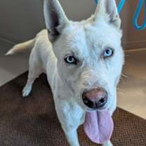 Thumbnail photo of Hazy #2