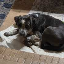 Thumbnail photo of Gabe #3