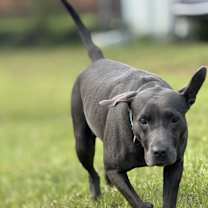 Thumbnail photo of Rena #2