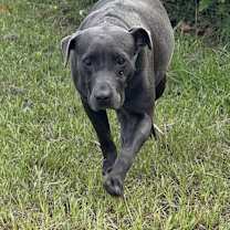 Thumbnail photo of Rena #4