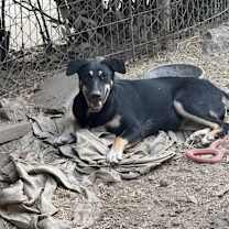 Thumbnail photo of Brenda #1