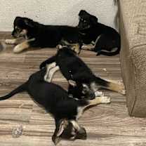 Thumbnail photo of Brenda #2