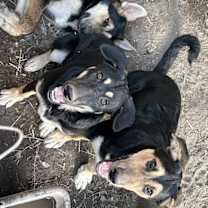 Thumbnail photo of Brenda #3