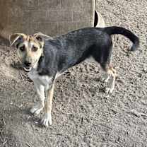 Thumbnail photo of Olivia #1