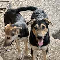 Thumbnail photo of Olivia #2