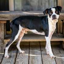 Thumbnail photo of OTIS #2