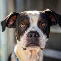 Thumbnail photo of OTIS #2