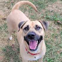 Thumbnail photo of Deja #1