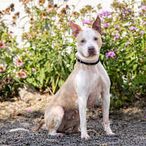 Thumbnail photo of Mokha #1