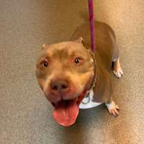 Thumbnail photo of Gia #2