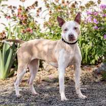 Thumbnail photo of Mokha #4