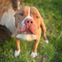 Thumbnail photo of Hanky #1