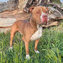 Thumbnail photo of Hanky #2