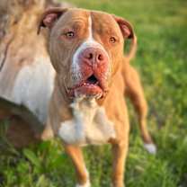 Thumbnail photo of Hanky #3