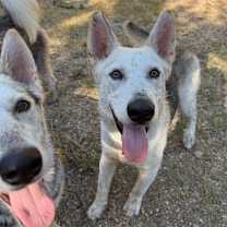 Thumbnail photo of Murphy #3