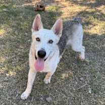 Thumbnail photo of Murphy #4