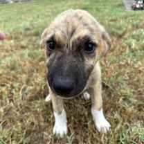 Thumbnail photo of Mercer #2