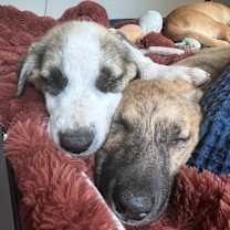 Thumbnail photo of Mercer #3