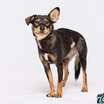 Thumbnail photo of Georgina* #2