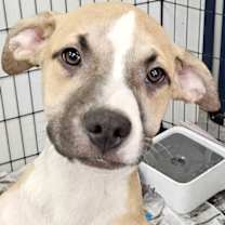 Thumbnail photo of Andrew #1