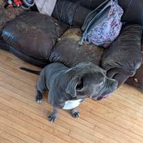 Thumbnail photo of Gus #2