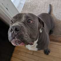 Thumbnail photo of Gus #3