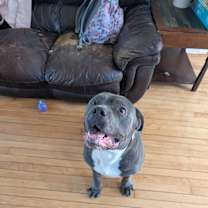 Thumbnail photo of Gus #4