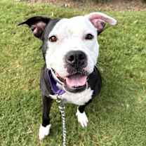 Thumbnail photo of Rio 21555 #1