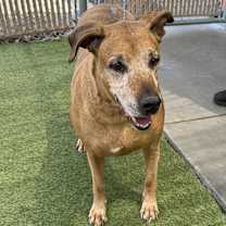 Thumbnail photo of RILEY #1