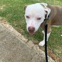 Thumbnail photo of Hank #3