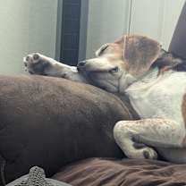 Thumbnail photo of Max #2