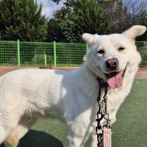 Thumbnail photo of Yeoreum #3