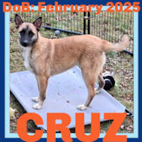 Thumbnail photo of CRUZ #1
