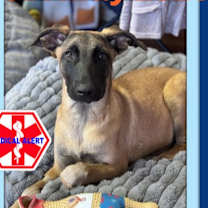 Thumbnail photo of TIDE #1