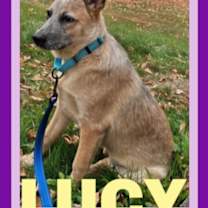 Thumbnail photo of LUCY #1