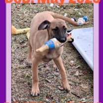 Thumbnail photo of WILLOW #1