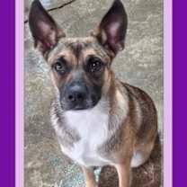 Thumbnail photo of CLARA BELLE #2