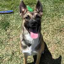 Thumbnail photo of CLARA BELLE #3