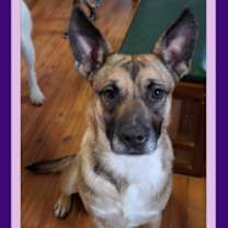 Thumbnail photo of CLARA BELLE #1