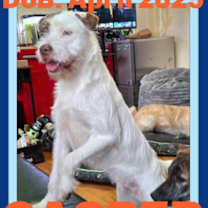 Thumbnail photo of CASPER #1