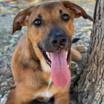 Thumbnail photo of Jerry #1