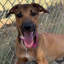 Thumbnail photo of Jerry #2