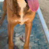 Thumbnail photo of Jerry #3